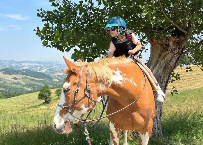 Prato Del Re Gospodarstwo agroturystyczne Prignano sulla Secchia