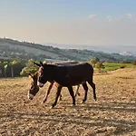 Prato Del Re Farm stay