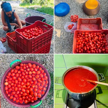Vakantieboerderij Prato Del Re