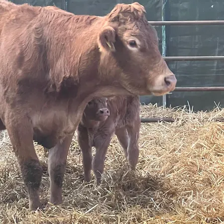 Prato Del Re Vakantieboerderij Prignano sulla Secchia
