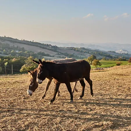 Prato Del Re ファームステイ