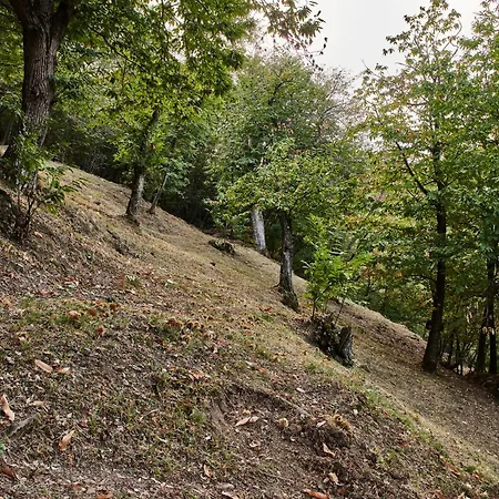 Prato Del Re * Prignano sulla Secchia