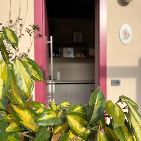 Prato Del Re * Prignano sulla Secchia