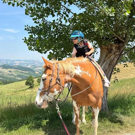 Prato Del Re Feriegård Prignano sulla Secchia