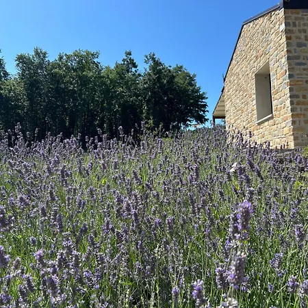 Prato Del Re Feriegård *