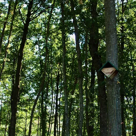 Farm stay Prato Del Re