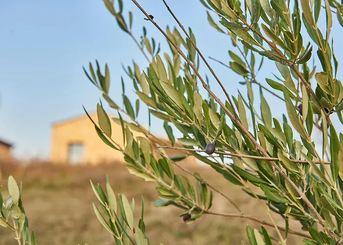Alojamento de Turismo Rural Prato Del Re