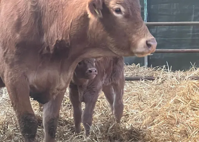 Prato Del Re Farm stay Prignano sulla Secchia