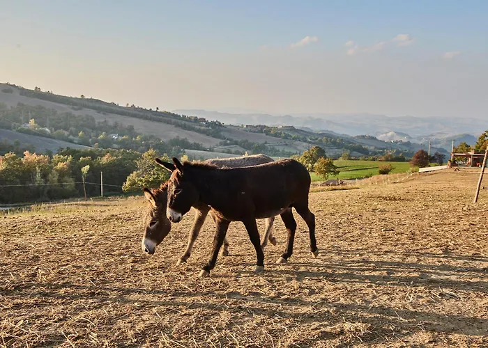 Prato Del Re Farm stay