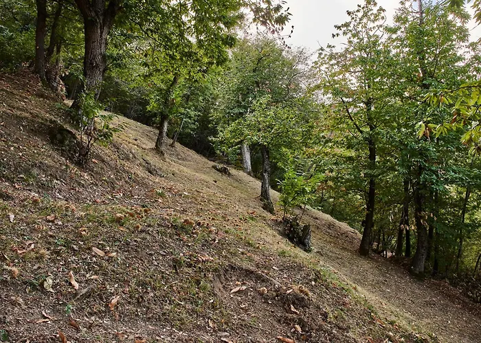 Prato Del Re * Prignano sulla Secchia