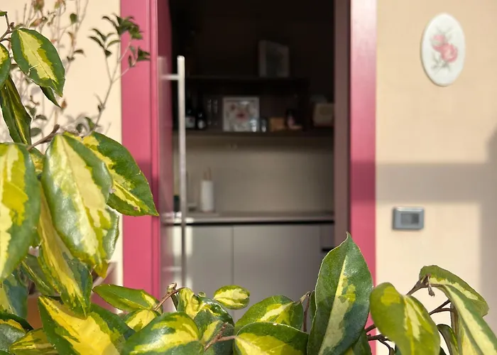 Prato Del Re * Prignano sulla Secchia