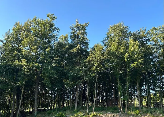 Prato Del Re Alojamento de Turismo Rural *