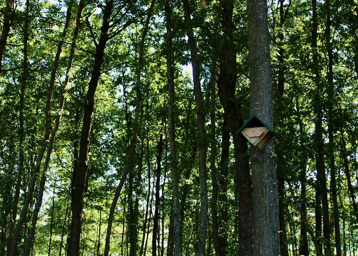 Alojamento de Turismo Rural Prato Del Re